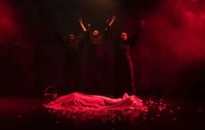 “Rosa Roja”, Rosa Luxemburgo la comunista