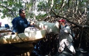 Derrame de petróleo ya se extendió 630 kilómetros, de Veracruz a Tabasco (Mapa interactivo)