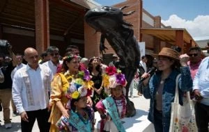 Brugada defiende acciones para la conservación del ajolote: “dicen que solo pintamos...”
