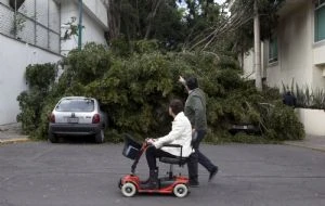 Fuertes vientos activan alerta en toda la CDMX; advierten por frío en madrugada del sábado