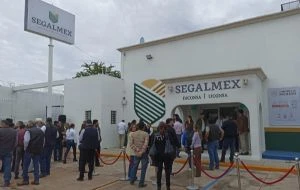 Exfuncionario ligado a desfalco de Segalmex pide amparo para salir de prisión