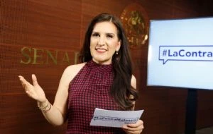 Solicitarán un juicio político contra Arturo Zaldívar en la Cámara de Diputados