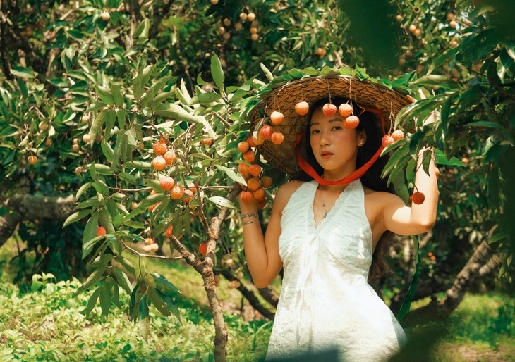 Chợ vải thiều ở Bắc Ninh 'gây sốt' nhờ bộ ảnh đẹp như phim trường