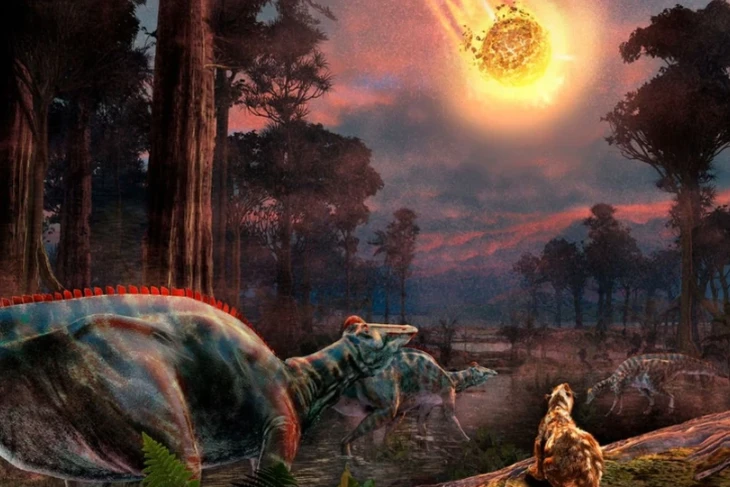 Phát hiện hệ sinh thái biển 'lạ' sau vụ va chạm tiểu hành tinh Chicxulub