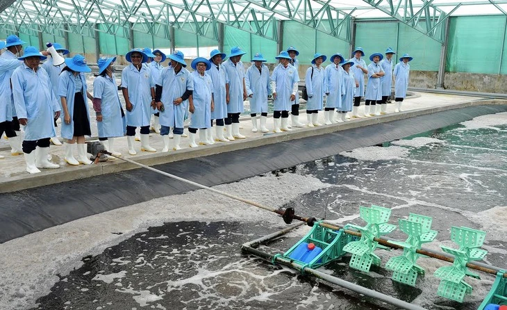 Thu hút người tài ngành nông nghiệp và môi trường: đãi ngộ gắn với cổ phần, doanh thu dự án?
