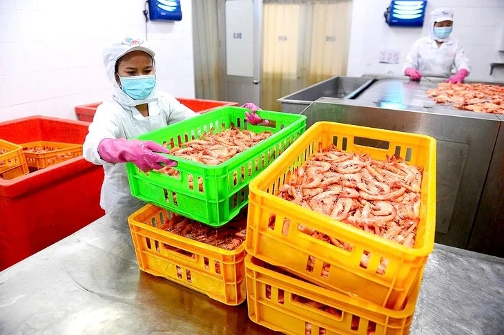 Thủy sản Việt tăng tốc trong lo âu, VASEP kiến nghị Thủ tướng về thuế quan Mỹ
