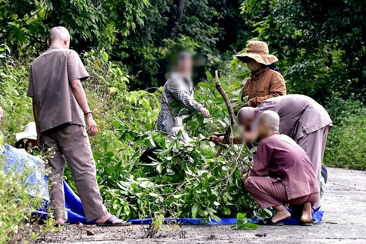 Bẻ cành cây trên bán đảo Sơn Trà - Đà Nẵng, một người đàn ông bị phạt 1,25 triệu đồng