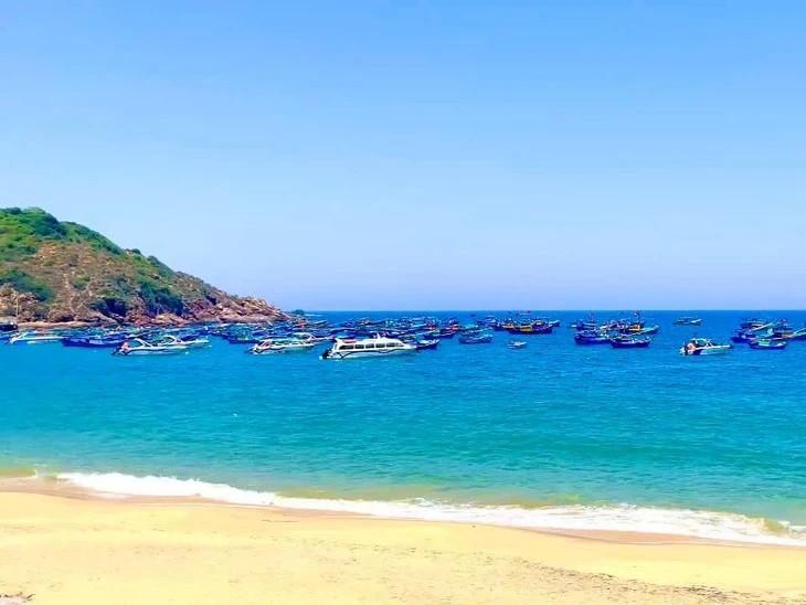 Ca nô du lịch ở Bình Định hoạt động sao cho an toàn?
