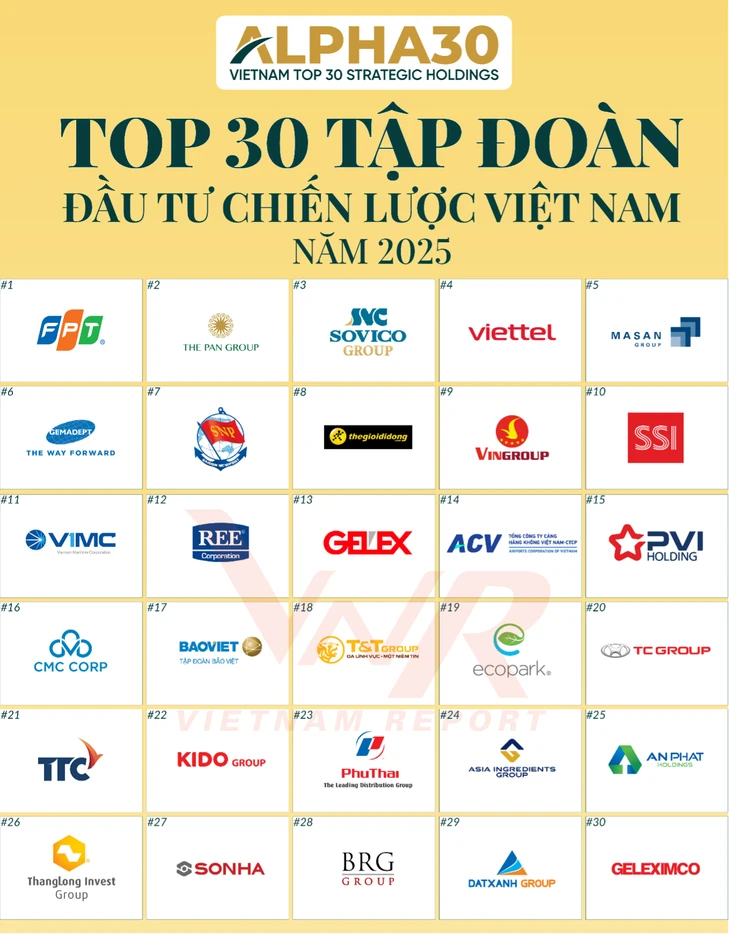 Từ 'con mồi', nhiều doanh nghiệp Việt thành 'thợ săn' thâu tóm công ty nước ngoài