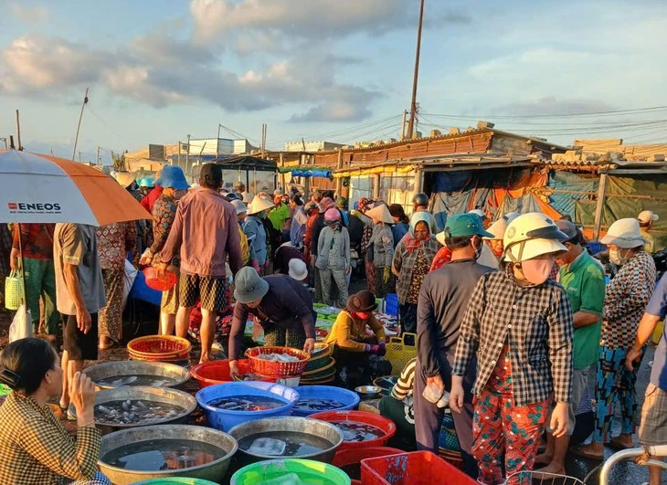 Một ngày nhiều sức sống ở cảng cá Liên Hương