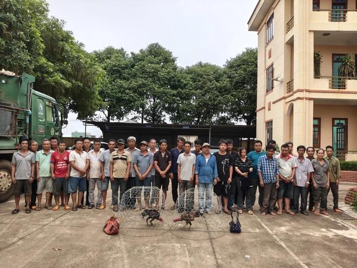 Bắt quả tang 31 người chơi đá gà ăn tiền