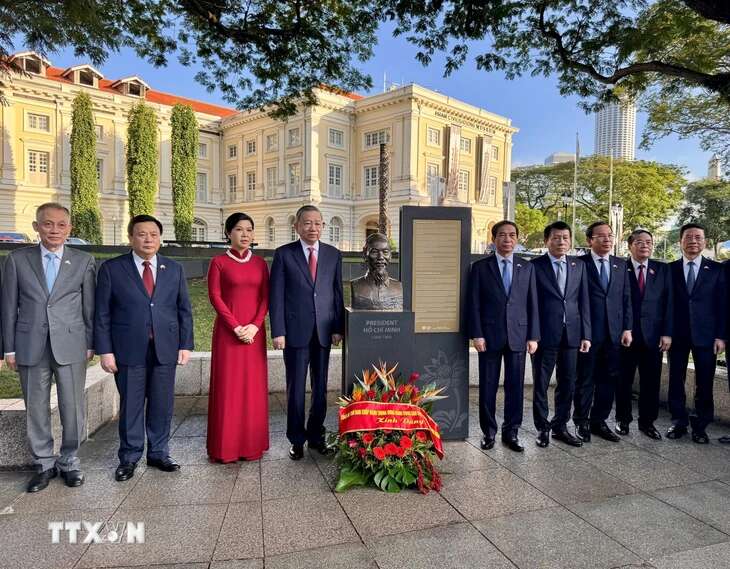 Singapore có loài hoa lan mới mang tên 'Papilionanda Tô Lâm Linh Ly'