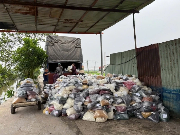 Bắt nguyên cục trưởng Cục An toàn thực phẩm: Công ty được cấp phép bao giờ, sản xuất những gì?
