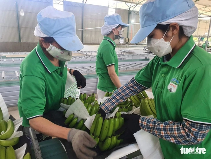 Hoàng Anh Gia Lai chậm trả lãi trái phiếu, sắp có hơn 1.000 tỉ thu nhập bất thường