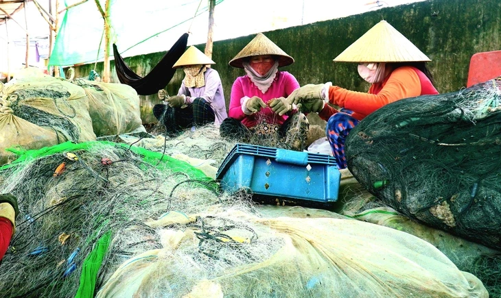 Cà Mau sắp hỗ trợ sinh kế cho hơn 12.000 hộ khó khăn