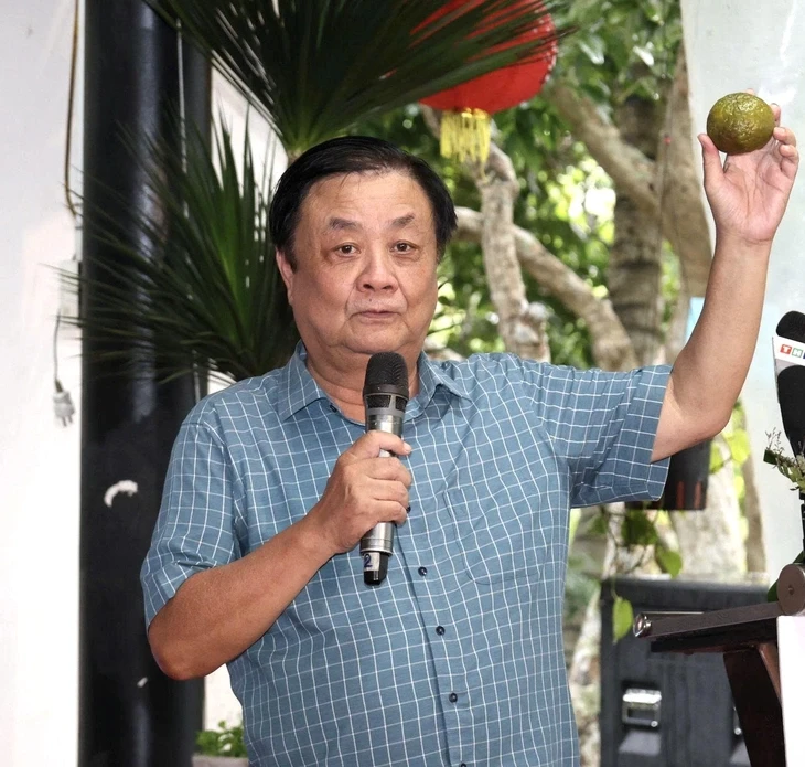 Nông dân phải có nguồn thu khác từ trái cam, trái dừa, củ khoai lang