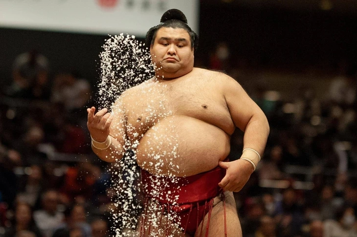 Vì sao các võ sĩ sumo khó thọ quá tuổi 60?