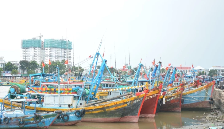 Nút thắt lớn đã tháo gỡ cho đăng kiểm, đăng ký hàng ngàn tàu cá tỉnh Lâm Đồng