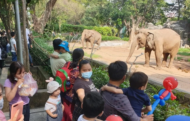 Vài vết muỗi đốt cũng đủ gây sốt xuất huyết, 5 mẹo đơn giản khi đi chơi, đi cắm trại cần biết