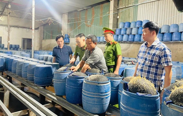 Khởi tố 3 người liên quan vụ ủ giá bằng hóa chất có hại cho sức khỏe