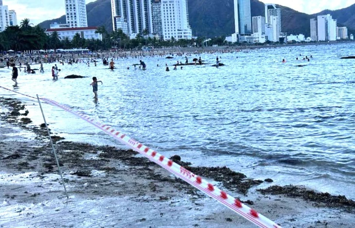 Nha Trang giăng dây phân vùng bờ biển để bảo vệ san hô Hòn Chồng