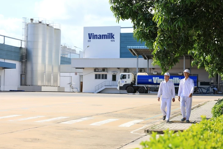 'Mưa' cổ tức tiền mặt: Một ông lớn chi tỉ lệ 'sốc' 480%, Vinamilk cũng trả gần 6.000 tỉ