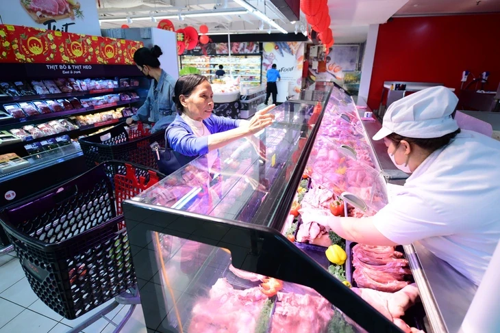 Cấp tốc ngăn dịch tả heo châu Phi