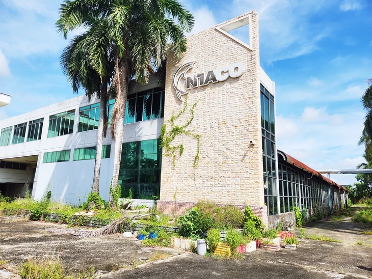 Trúng đấu giá tài sản 'chưa sạch', doanh nghiệp điêu đứng 3 năm