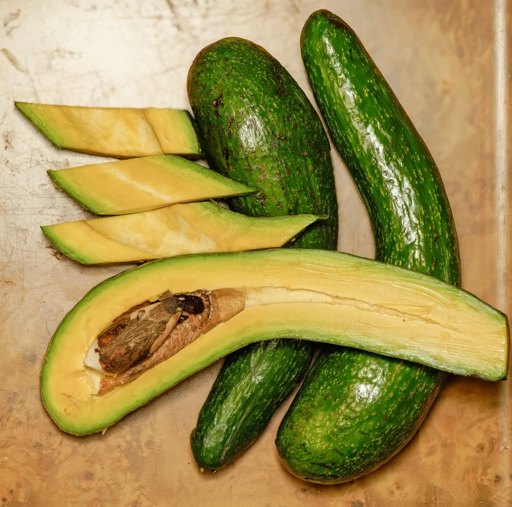 Trái bơ ngon nhiều khoáng chất, có thể sử dụng cho chế độ dinh dưỡng lành mạnh