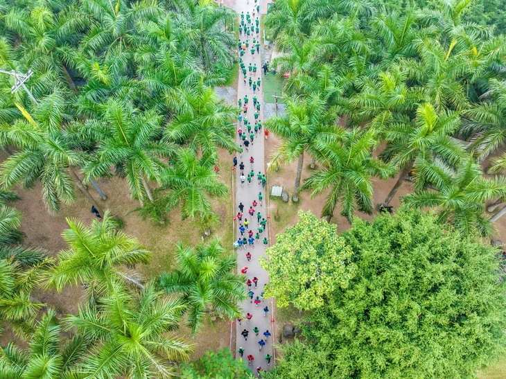 Đại đô thị xanh lớn nhất Nghệ An tổ chức giải chạy Eco Central Park Marathon