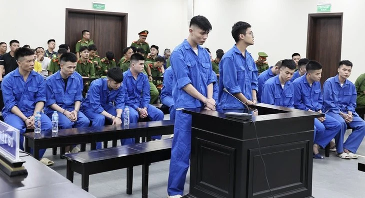 Đường dây mạo danh Huấn Hoa Hồng lừa 12 tỉ và môi giới bán thận lãnh án