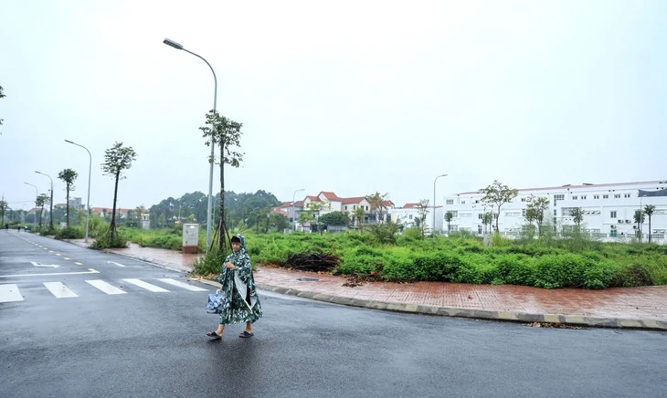 Đất đấu giá ngoại thành hơn trăm triệu/m² bỏ hoang, đánh thuế được không?