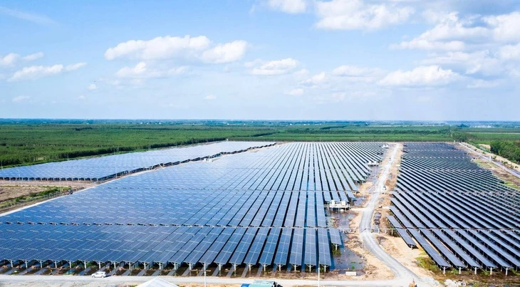 Ông Phạm Minh Tuấn rời vai trò phó chủ tịch Bamboo Capital