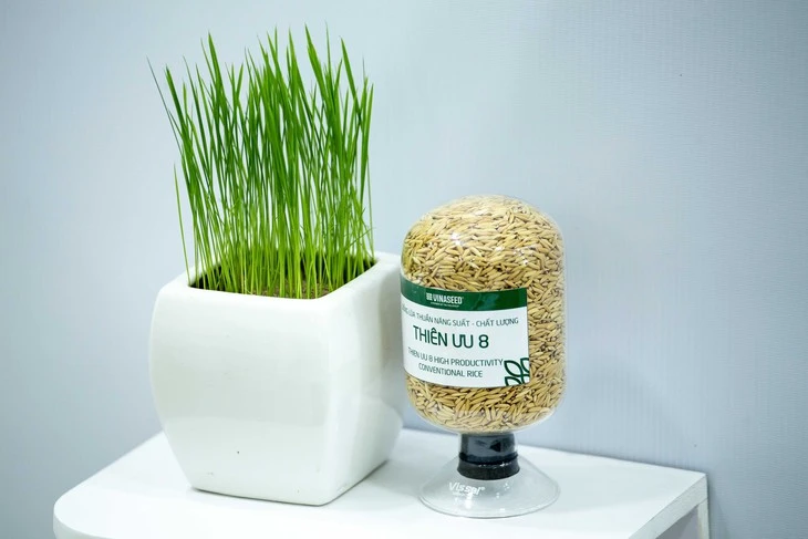 Đầu tư công nghệ chọn tạo giống để ngành hoa Việt Nam phát triển như Hà Lan