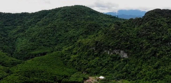 60 người vào rừng tìm người đàn ông mất tích khi đi săn mật ong