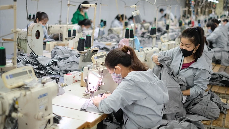 Một công ty may giảm 1.300 nhân sự, nay phát hành cổ phiếu để… trả lương