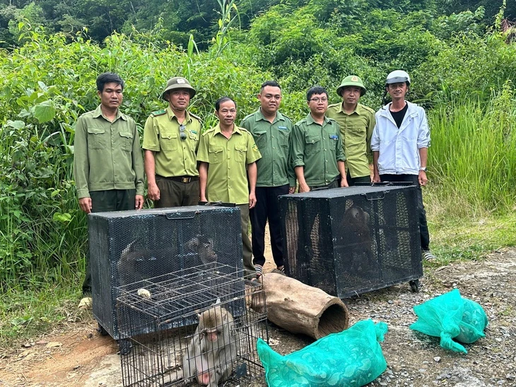 Thả 6 loài động vật hoang dã về rừng Chư Yang Sin