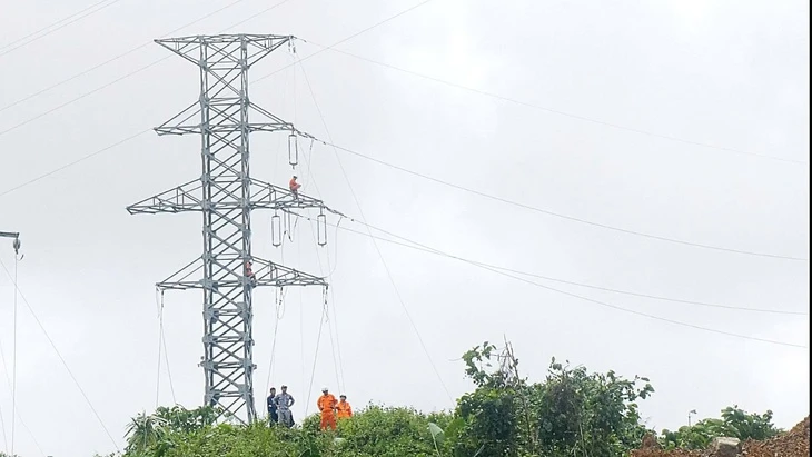 Khắc phục sự cố ngã cột 110kV, cấp điện trở lại cho khu vực phía tây Đà Nẵng sau 5 ngày