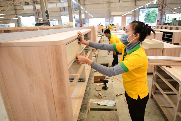 Tin tức sáng 1-7: Giảm mức thu nhiều khoản phí, lệ phí; TP.HCM cảnh báo khẩn dầu phong thấp giả
