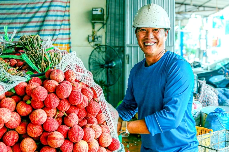 Vải thiều Bắc Giang có tỉ lệ đậu quả 'khủng', sản lượng ước trên 165.000 tấn
