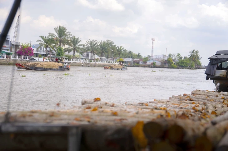 Lênh đênh chợ củi Ngã Bảy