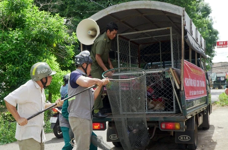 Người đàn ông tử vong với dấu hiệu bệnh dại sau hơn 1 năm bị chó cắn