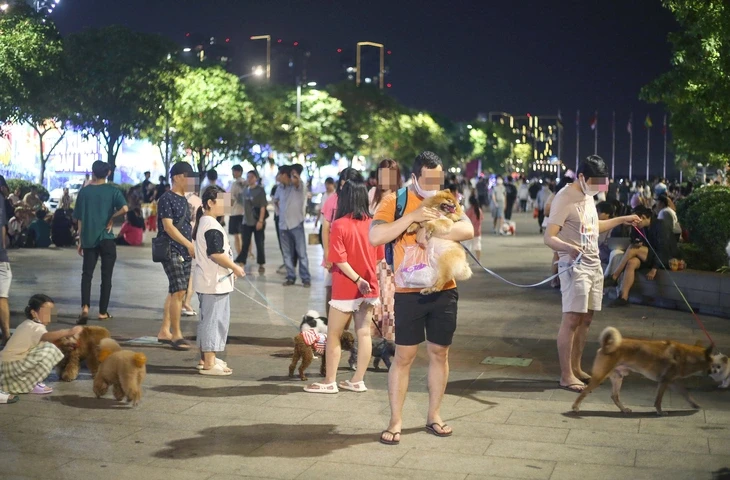 Từ 'tối lửa tắt đèn có nhau' đến mất lòng nhau vì chuyện tiểu tiện của chó