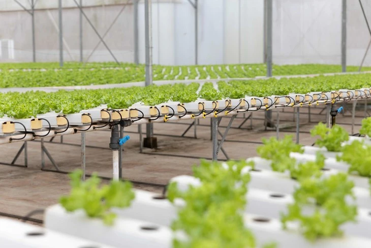 Khi doanh nghiệp Việt thúc đẩy đổi mới - hướng tới phát triển bền vững