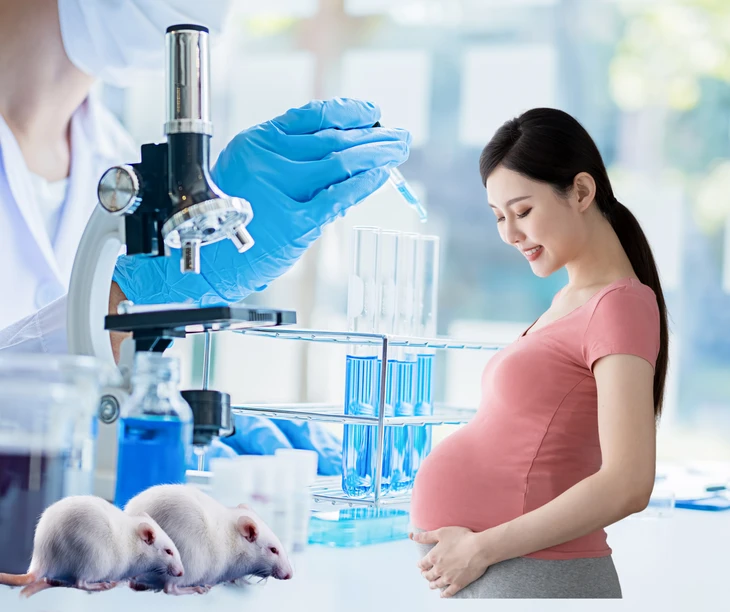 Mẹ thiếu sắt khi mang thai có thể khiến giới tính con bị thay đổi