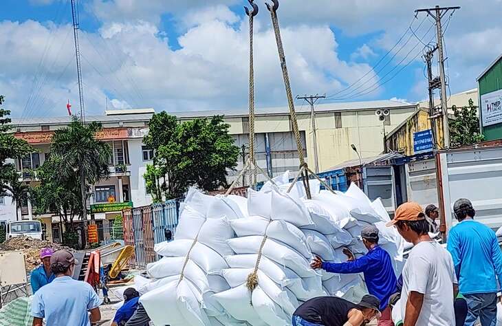 Thủ tướng chỉ đạo tăng mua lúa gạo tạm trữ, thanh kiểm tra để ngăn ép giá, trục lợi