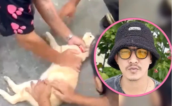 Thanh niên Thái được ca ngợi vì hồi sức cứu sống mèo giật điện, có hẳn 'kỹ thuật ép tim mèo'