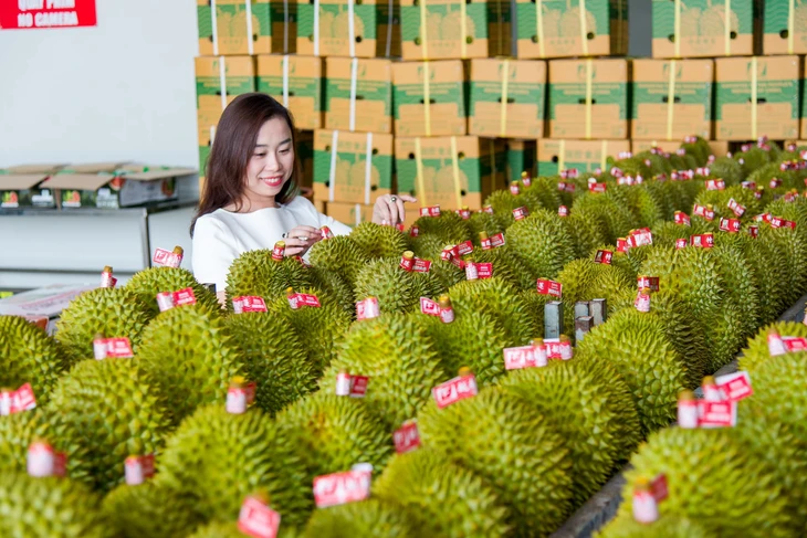 Thủ tướng chỉ đạo loạt nhiệm vụ siết quản lý để thúc đẩy xuất khẩu sầu riêng