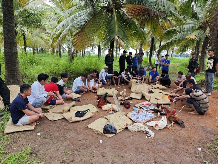 Đá gà sát phạt trên 1,6 tỉ đồng, 8 người bị tạm giữ