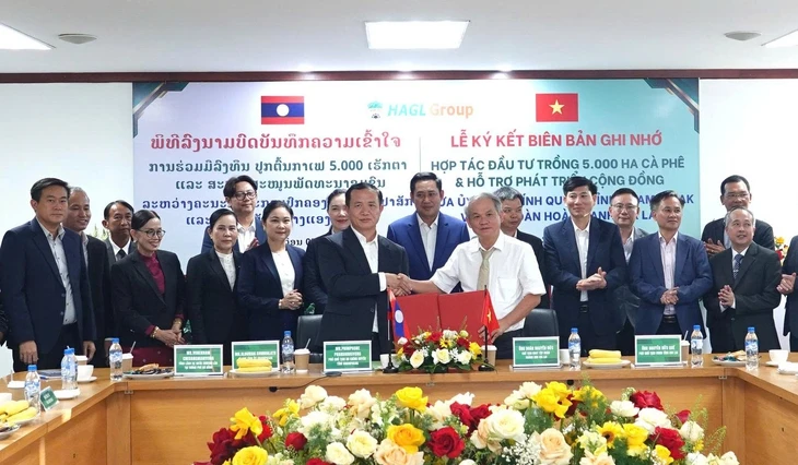 Hoàng Anh Gia Lai đầu tư 5.000ha cà phê tại Lào
